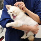 11月の休診･時間変更