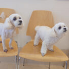 1月の休診･時間変更