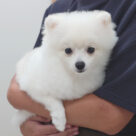 3月の休診･時間変更（追記あり）